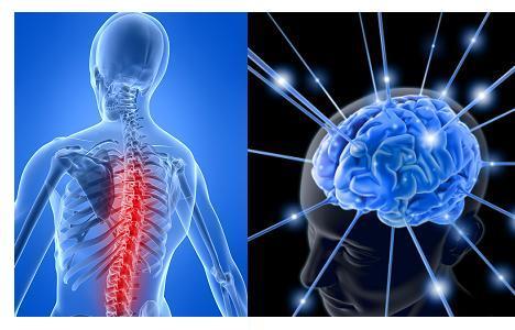 Brain and Spine Injuries
